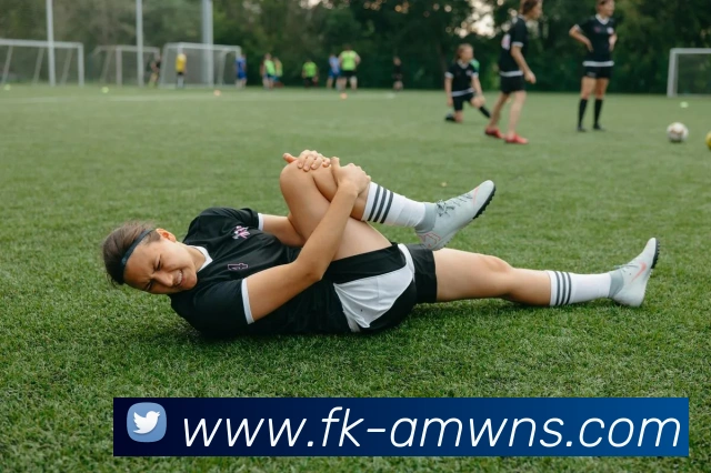 威尼斯人官网APP 封面图